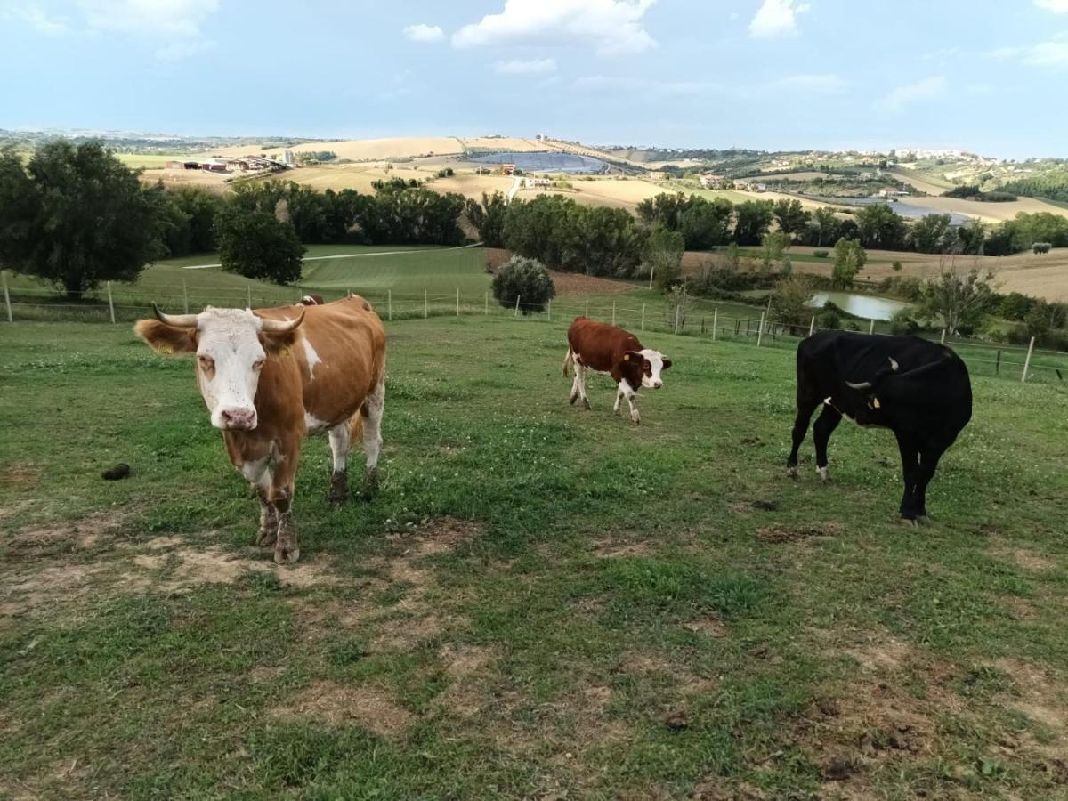 Casa Di Campagna Villa De Luca Bellante ภายนอก รูปภาพ