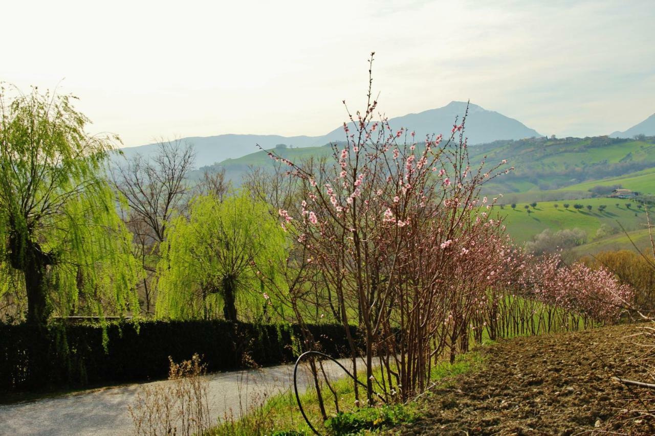 Casa Di Campagna Villa De Luca Bellante ภายนอก รูปภาพ